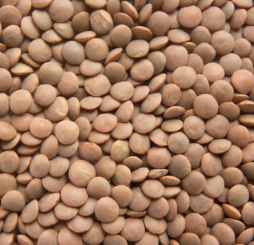 Lentils Red Whole