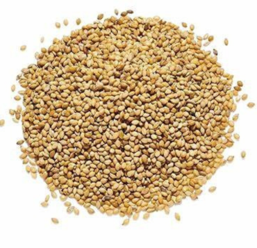 Millets Panicum