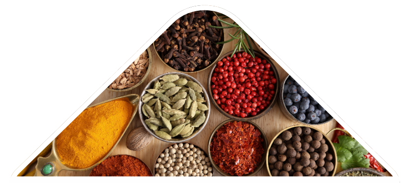 why-choose-one-shape-4